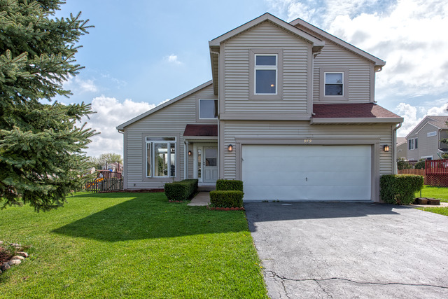 979 Tallgrass Dr, Bartlett, IL 60103 photo 1