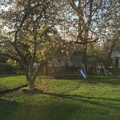 776 Murray Ave, Elgin, IL 60123 photo 10