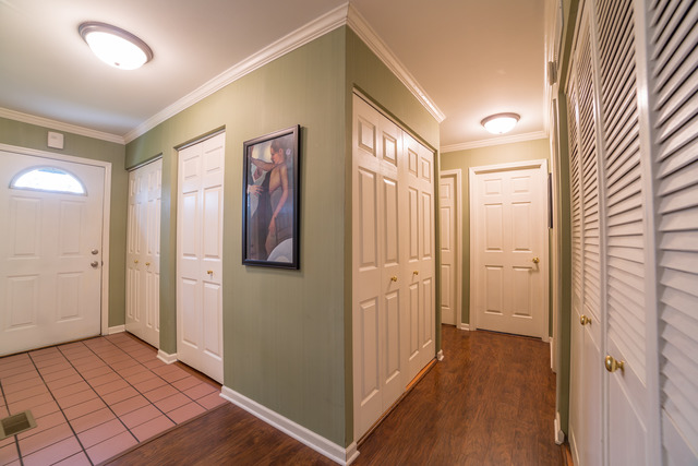 595 Audubon St, Hoffman Estates, IL 60169 photo 14