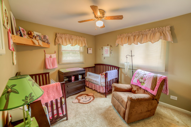 595 Audubon St, Hoffman Estates, IL 60169 photo 11
