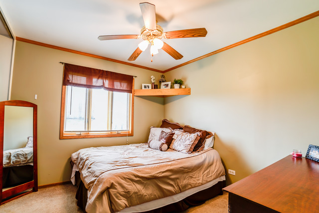 595 Audubon St, Hoffman Estates, IL 60169 photo 12