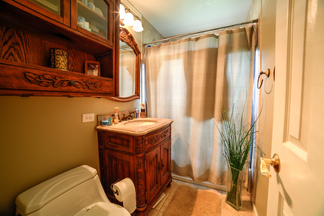 595 Audubon St, Hoffman Estates, IL 60169 photo 17