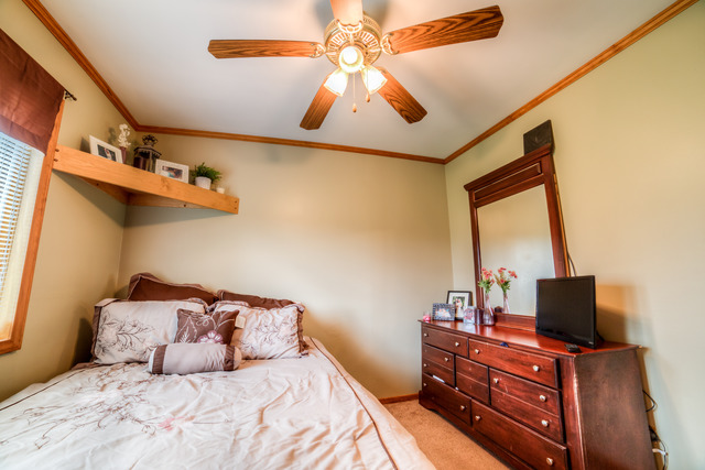 595 Audubon St, Hoffman Estates, IL 60169 photo 16