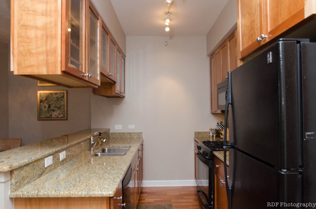 233 E 13th St #904, Chicago, IL 60605 photo 2
