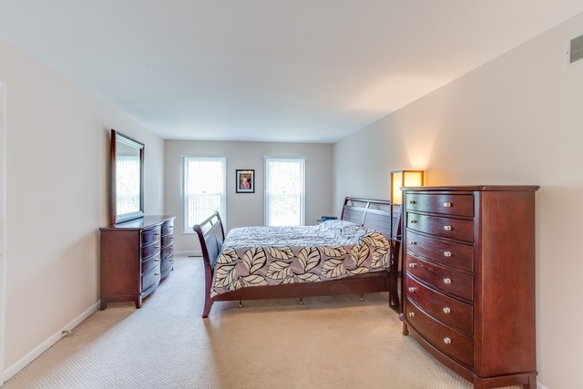 220 Aron Ct, Bartlett, IL 60103 photo 9
