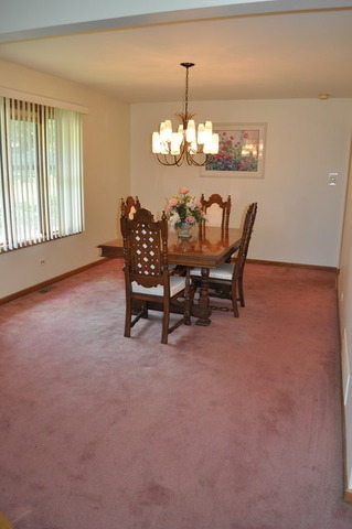 8050 Deer Path, Justice, IL 60458 photo 9