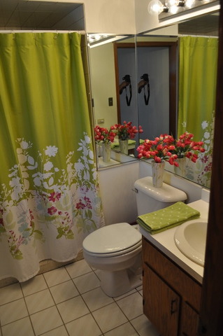 8050 Deer Path, Justice, IL 60458 photo 13