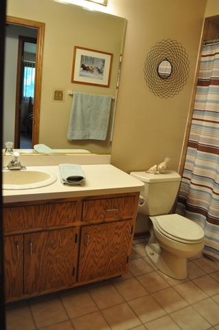 8050 Deer Path, Justice, IL 60458 photo 16