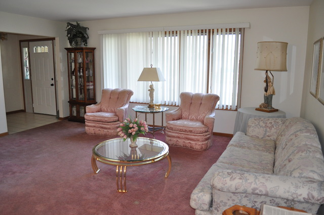 8050 Deer Path, Justice, IL 60458 photo 8