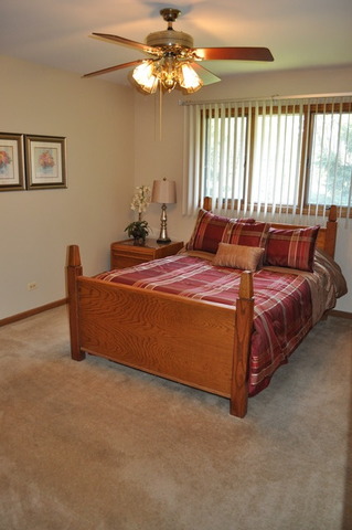 8050 Deer Path, Justice, IL 60458 photo 14