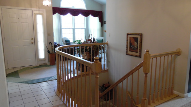 513 Shagbark Dr, Elgin, IL 60123 photo 8