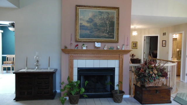 513 Shagbark Dr, Elgin, IL 60123 photo 5
