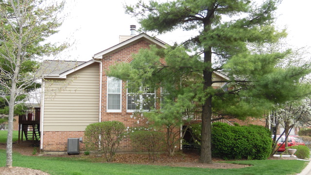 513 Shagbark Dr, Elgin, IL 60123 photo 3
