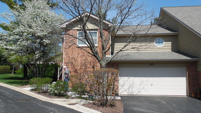 513 Shagbark Dr, Elgin, IL 60123 photo 2