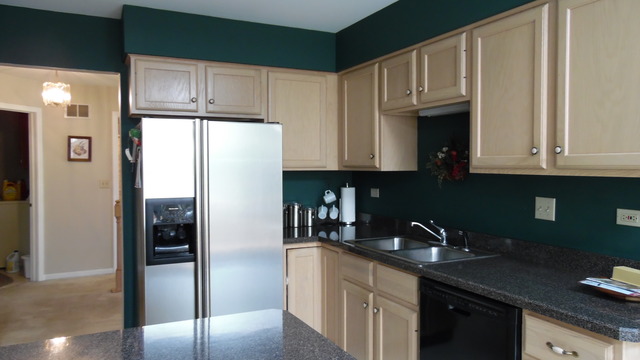 513 Shagbark Dr, Elgin, IL 60123 photo 9