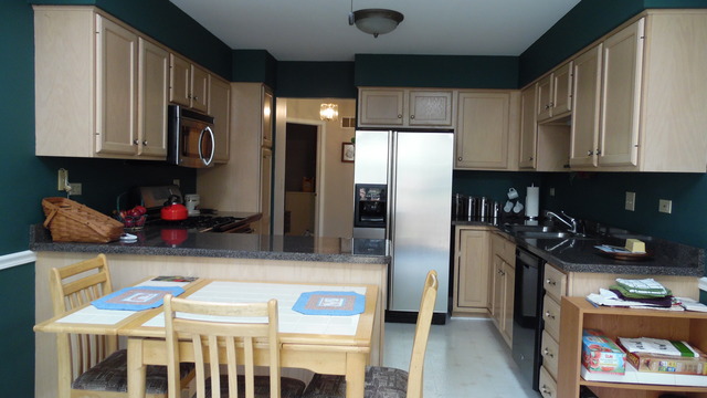 513 Shagbark Dr, Elgin, IL 60123 photo 11