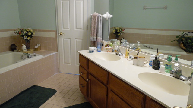 513 Shagbark Dr, Elgin, IL 60123 photo 16