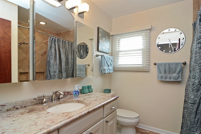 1109 E Barberry Ln, Mount Prospect, IL 60056 photo 14