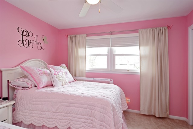 1109 E Barberry Ln, Mount Prospect, IL 60056 photo 16