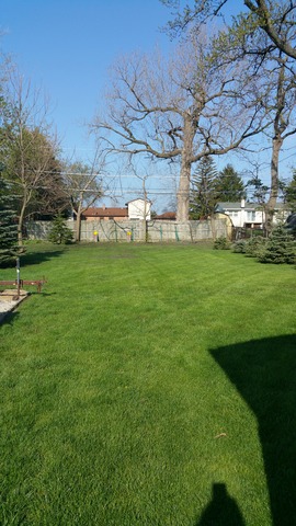 2282 Cedar St, Des Plaines, IL 60016 photo 14