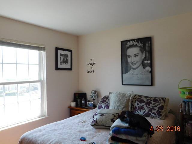 80 Lemans Dr, Wheeling, IL 60090 photo 21