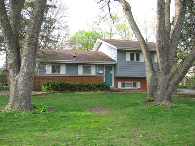 1013 E Prairie Ave, Wheaton, IL 60187 photo 1