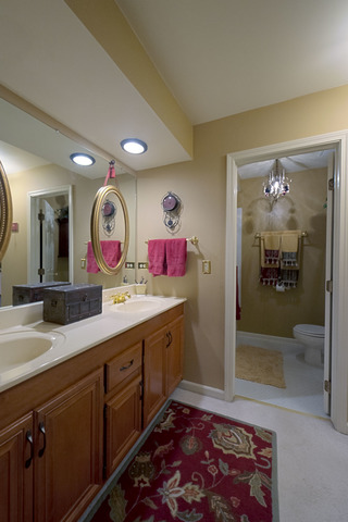 598 Windham Ln, Naperville, IL 60563 photo 11