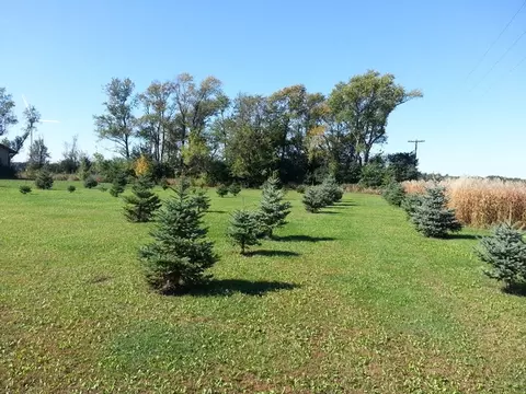 1555 Sublette Rd, Sublette, IL 61367 photo 5