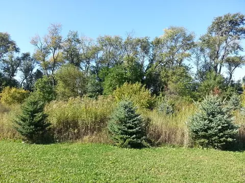 1555 Sublette Rd, Sublette, IL 61367 photo 9