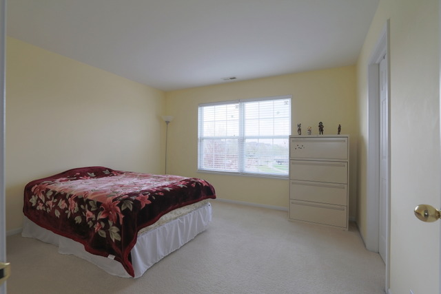 2518 Rourke Dr, Aurora, IL 60503 photo 20