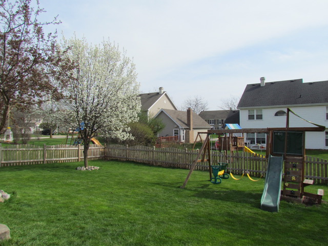 1123 Fieldstone Ln, Bartlett, IL 60103 photo 25