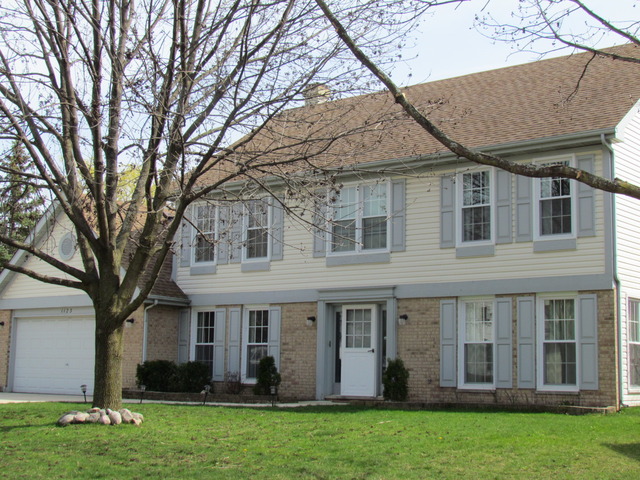 1123 Fieldstone Ln, Bartlett, IL 60103 photo 2
