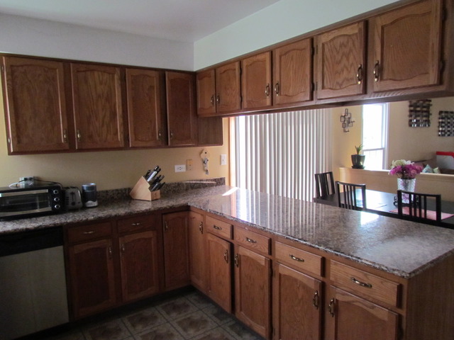 1123 Fieldstone Ln, Bartlett, IL 60103 photo 10