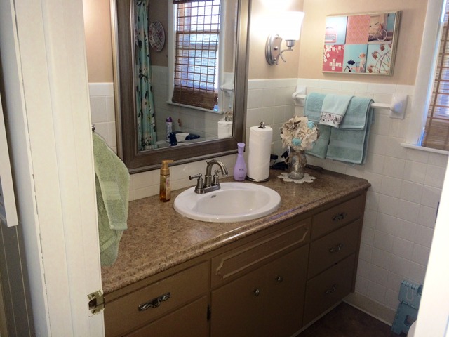 422 W Devlin St, Spring Valley, IL 61362 photo 7