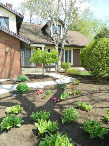 3575 Londonderry Ct, Hoffman Estates, IL 60067 photo 2