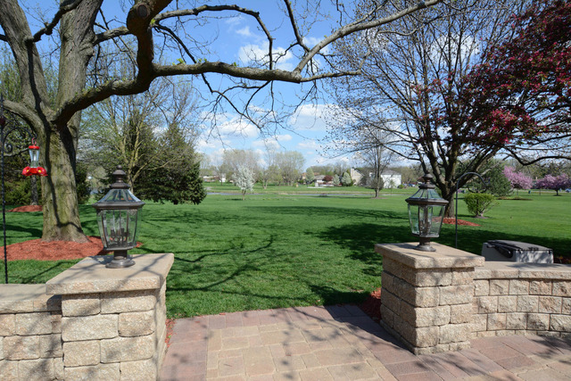 877 Braintree Ln, Bartlett, IL 60103 photo 23