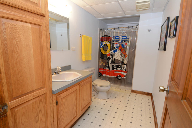 877 Braintree Ln, Bartlett, IL 60103 photo 19