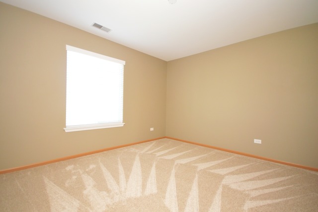 1443 Sedge Pass, Minooka, IL 60447 photo 21