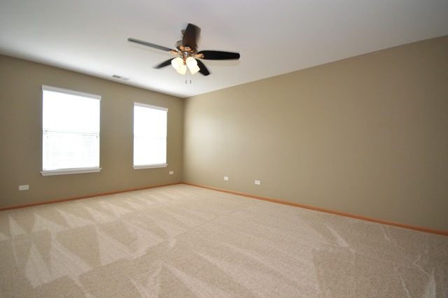 1443 Sedge Pass, Minooka, IL 60447 photo 18