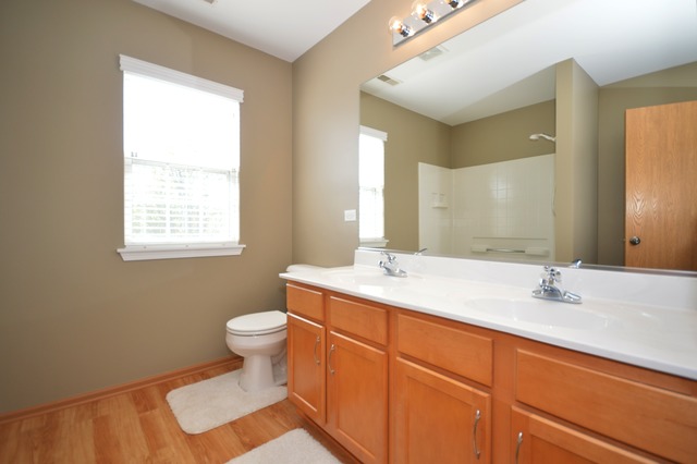 1443 Sedge Pass, Minooka, IL 60447 photo 23