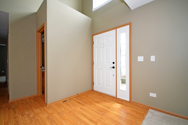 1443 Sedge Pass, Minooka, IL 60447 photo 3