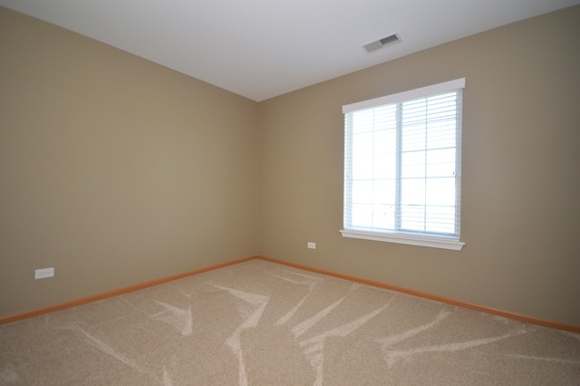1443 Sedge Pass, Minooka, IL 60447 photo 22