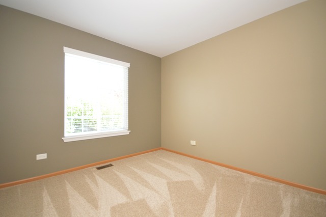 1443 Sedge Pass, Minooka, IL 60447 photo 14