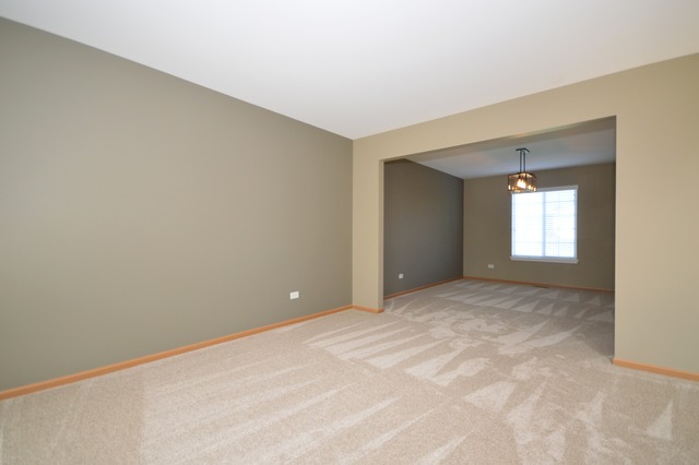 1443 Sedge Pass, Minooka, IL 60447 photo 5