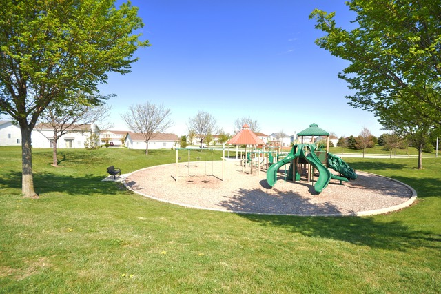 1443 Sedge Pass, Minooka, IL 60447 photo 24