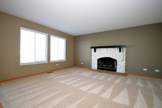 1443 Sedge Pass, Minooka, IL 60447 photo 12