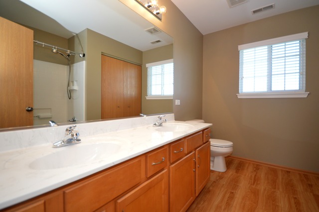 1443 Sedge Pass, Minooka, IL 60447 photo 20
