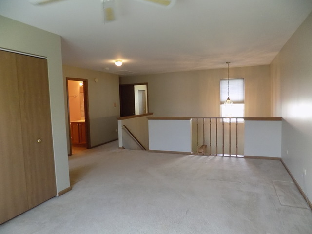 5607 W Von Ave #B, Monee, IL 60449 photo 10