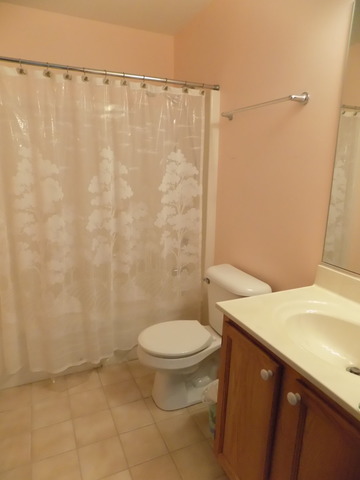 5607 W Von Ave #B, Monee, IL 60449 photo 18