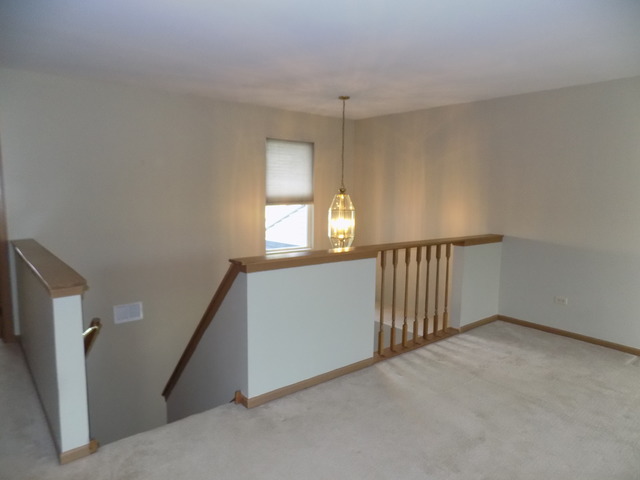 5607 W Von Ave #B, Monee, IL 60449 photo 11